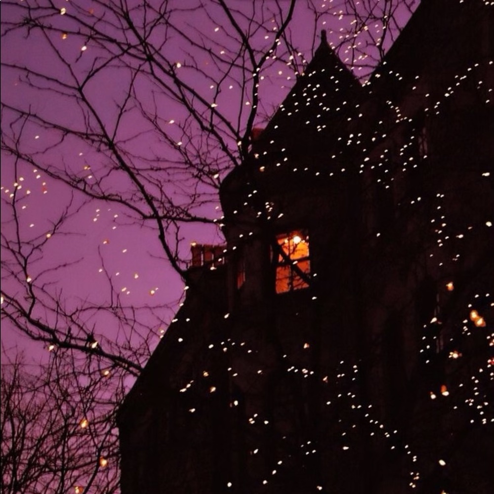 Meet your Posher, Haley